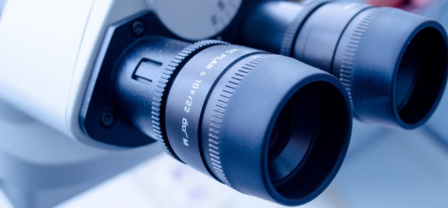 Pellentesque habitant morbi